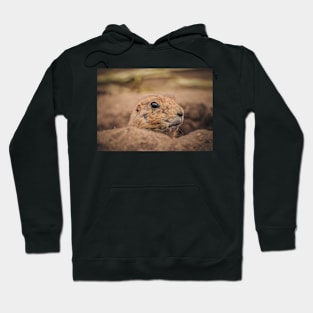 Black-tailed Prairie Dog Hoodie